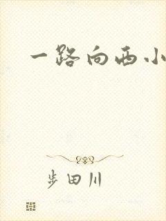 一路向西小说