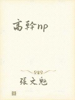 高干np