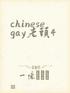 chinesegay老头4