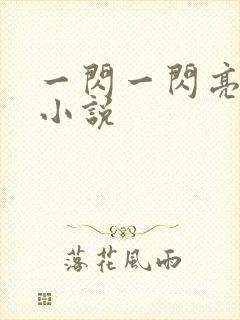 一闪一闪亮星星小说