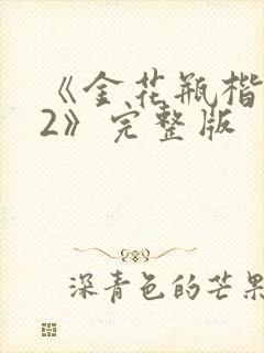 《金花瓶楷梅花2》完整版