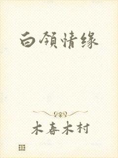 白领情缘