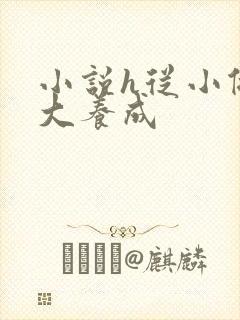 小说h从小做到大养成