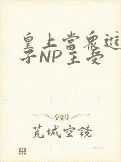 皇上当众进入太子NP主受