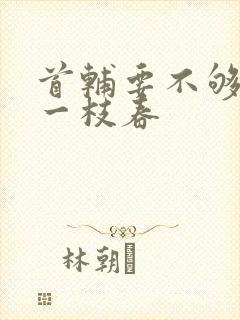 首辅要不够po一枝春