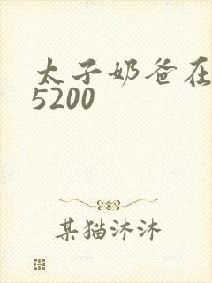 太子奶爸在花都5200