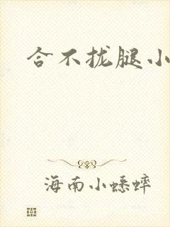 合不拢腿小说
