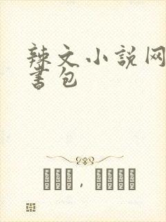 辣文小说网第二书包