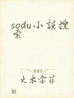 sodu小说搜索