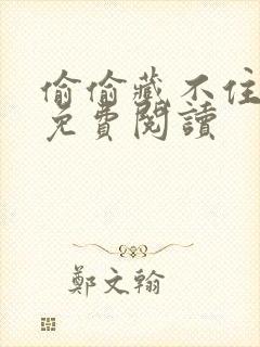 偷偷藏不住小说免费阅读