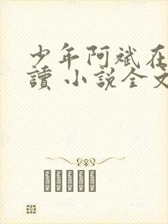 少年阿斌在线阅读 小说全文免费
