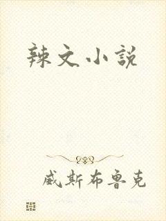 辣文小说