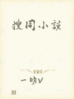 搜同小说封面