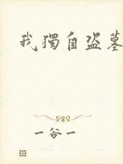 我独自盗墓