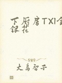 下厨房TXl金银花