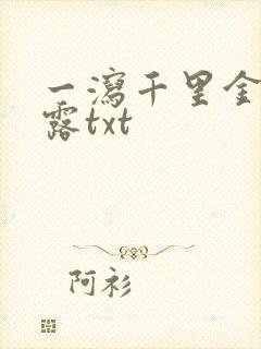 一泻千里金银花露txt