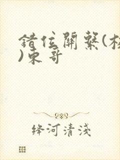 错位关系(校园)东哥