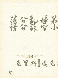 荡公乱妇第1章情公苏雪小说