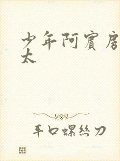 少年阿宾房东太太