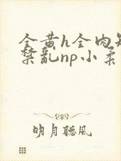 全黄h全肉短篇禁乱np小柔