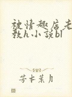 被情趣店老板调教h小说bl