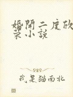 婚开二度欣欣向荣小说