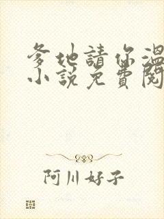 爹地请你温柔点小说免费阅读