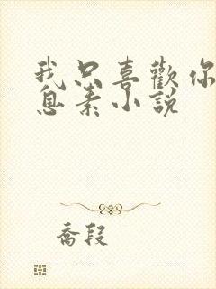 我只喜欢你的信息素小说封面