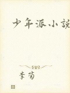 少年派小说