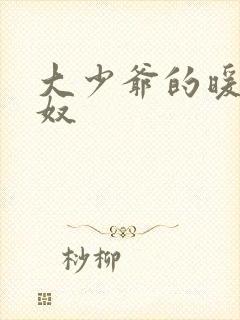 大少爷的暖床小奴