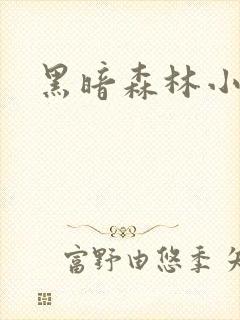 黑暗森林小说