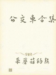 公交车合集