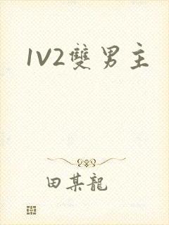 1V2双男主