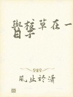 与校草在一起的日子