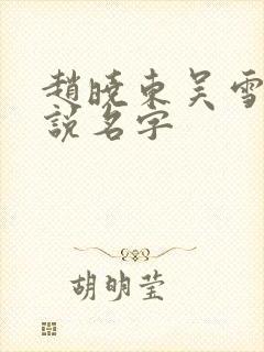 赵晓东吴雪晴小说名字