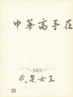 中华高手在异世