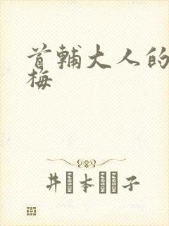 首辅大人的小青梅