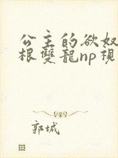 公主的欲奴h四根双龙np视频