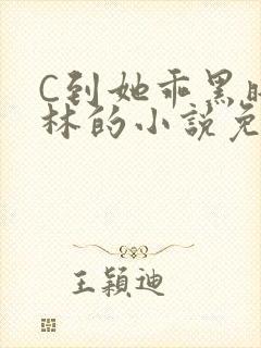 C到她乖黑暗森林的小说免费