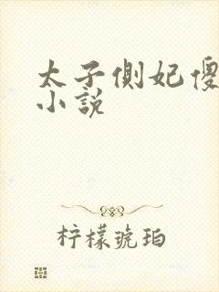 太子侧妃傻乎乎小说