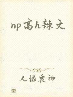 np高h辣文