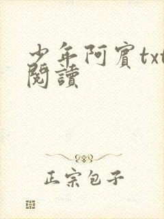 少年阿宾txt阅读封面