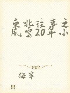 东北往事之黑道风云20年小说