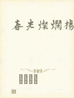 《春光灿烂杨家将》小说封面