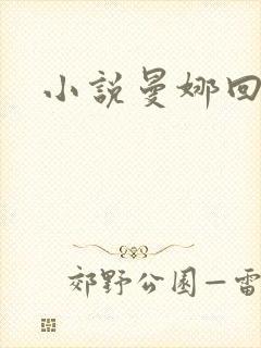 小说曼娜回忆录