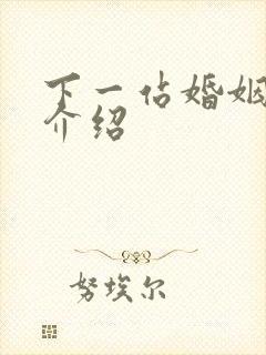 下一站婚姻剧情介绍