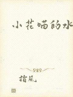 小花喵的水蜜桃