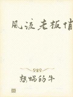 风流老板俏秘书封面