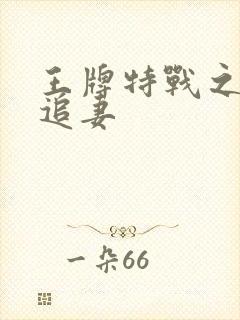 王牌特战之军少追妻