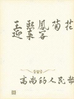 王熙凤菊花门初迎来客